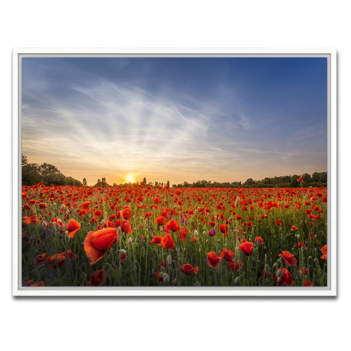 AUTO-MOCKUP WHITE | Evening in a poppy field | 1 Piece | White Framed Canvas | group=4x3