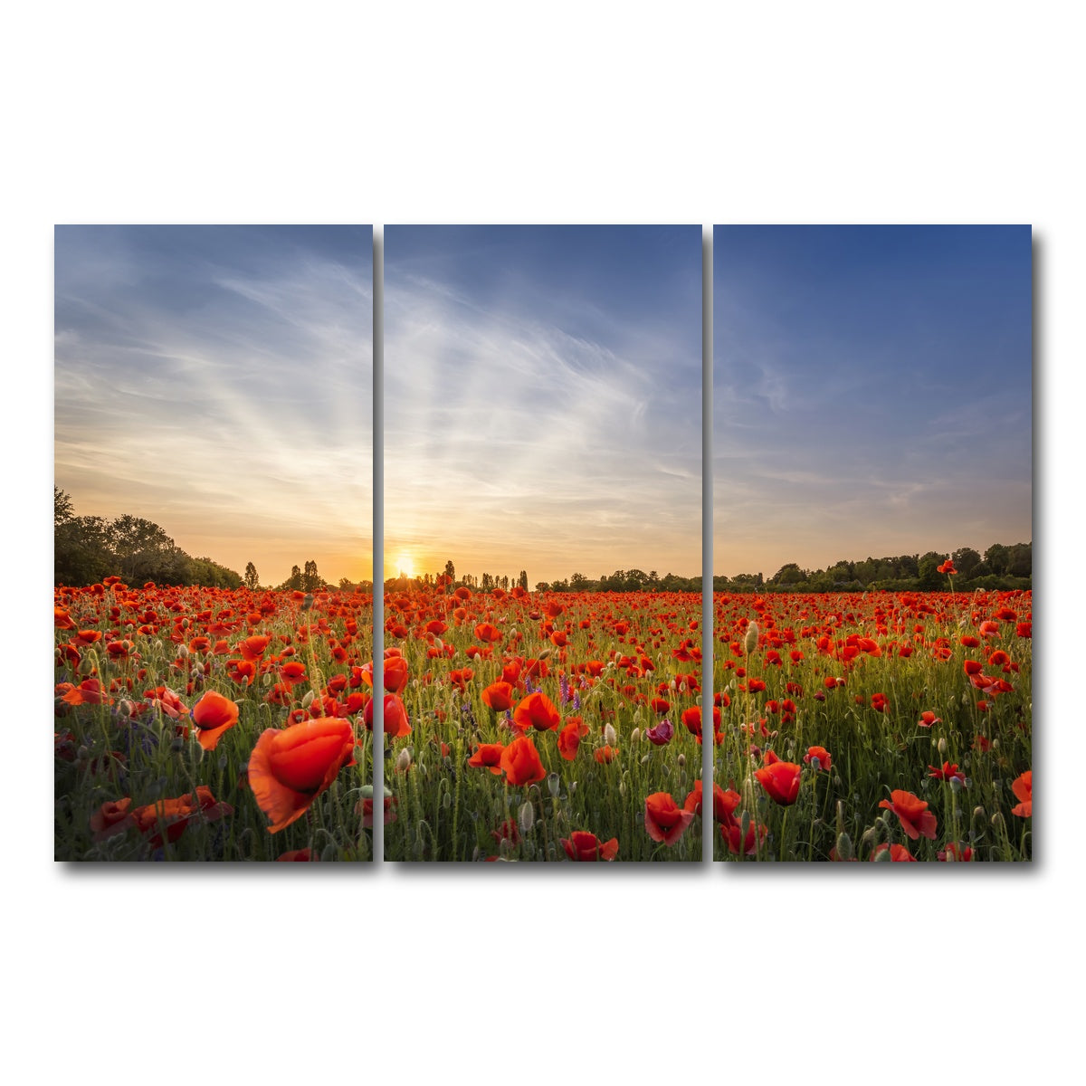 AUTO-MOCKUP WHITE | Evening in a poppy field | 3 Piece | Gallery Wrap Canvas | group=12x24