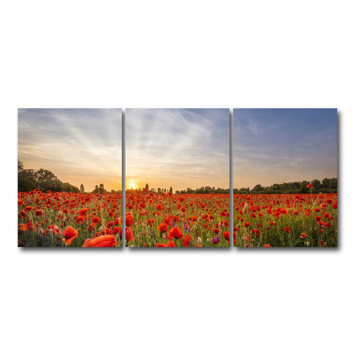 AUTO-MOCKUP WHITE | Evening in a poppy field | 3 Piece | Gallery Wrap Canvas | group=18x24