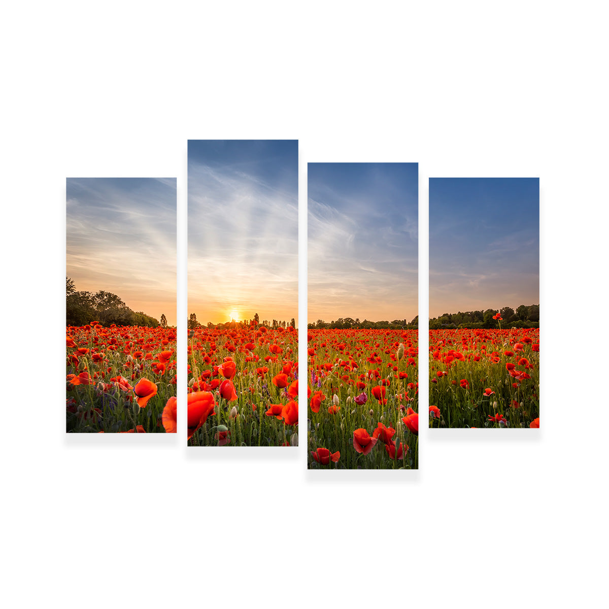 Evening in a Poppy Field Wall Art