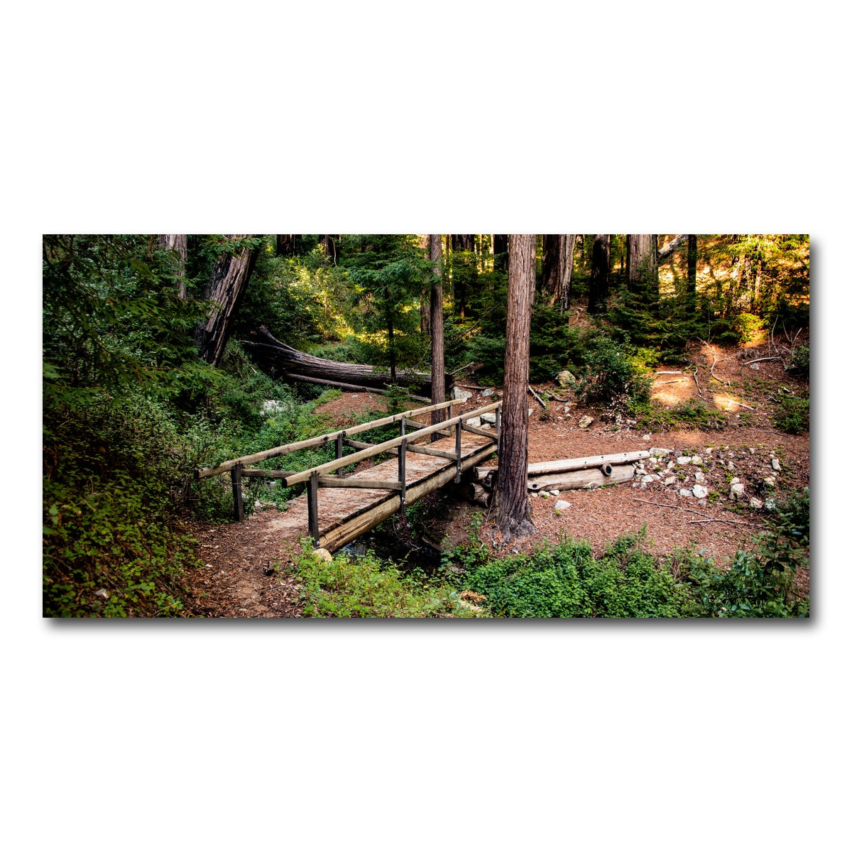 AUTO-MOCKUP WHITE | Ewoldsen Loop Bridge | 1 Piece | Gallery Wrap Canvas | group=2x1