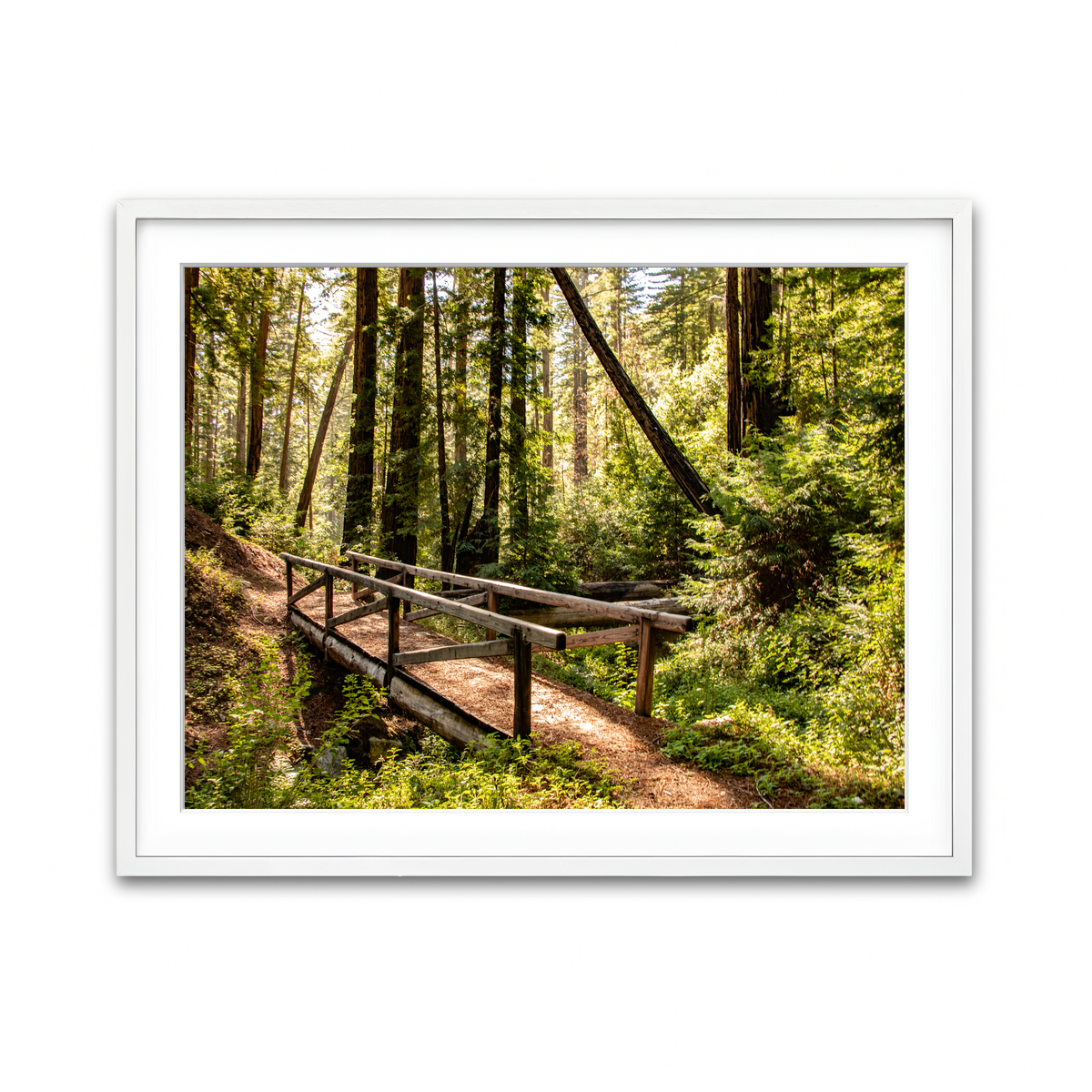 Framed Print 4x3 White