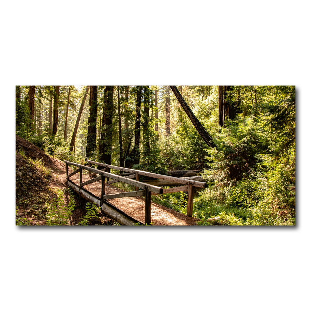 AUTO-MOCKUP WHITE | Ewoldsen Trail Bridge | 1 Piece | Gallery Wrap Canvas | group=2x1