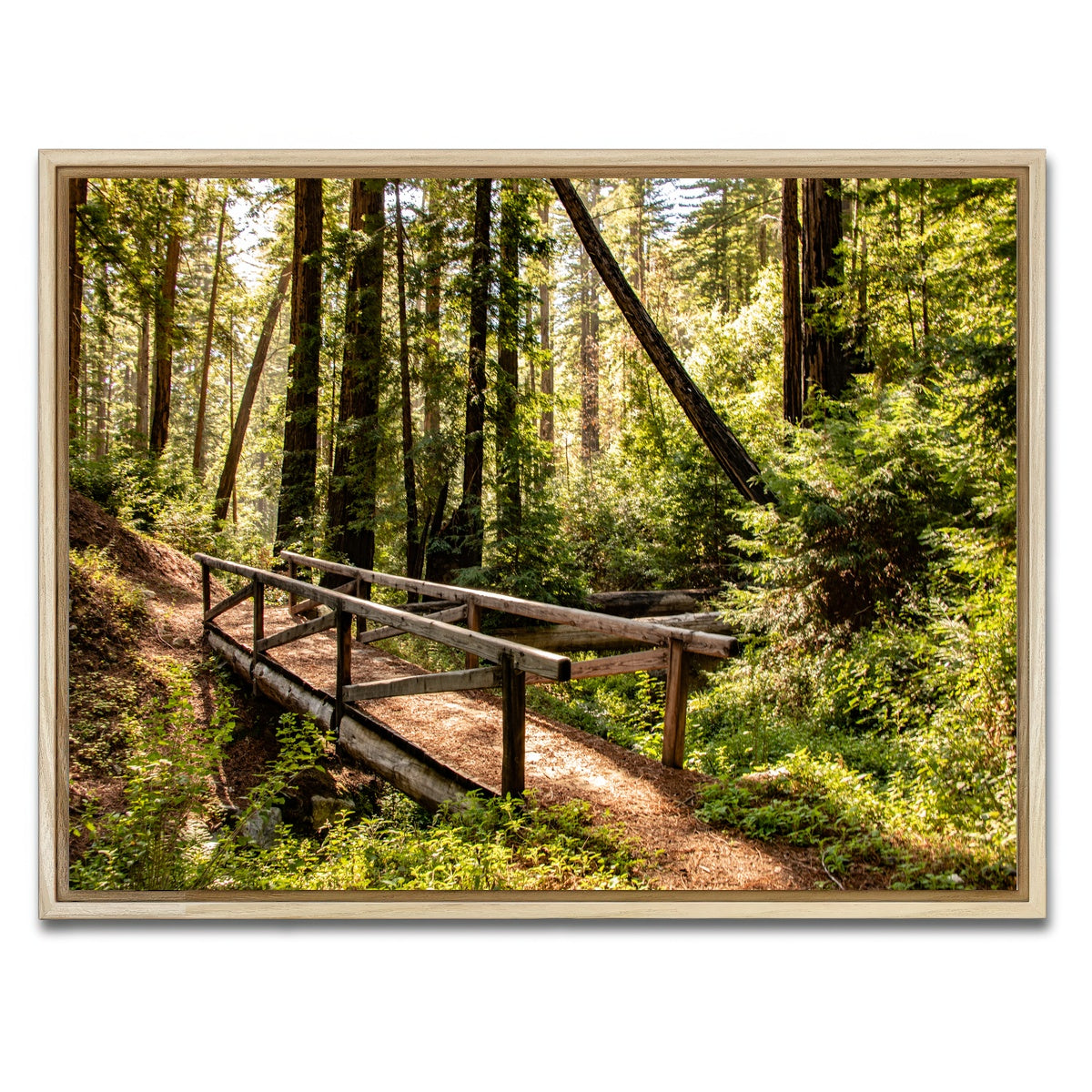 AUTO-MOCKUP WHITE | Ewoldsen Trail Bridge | 1 Piece | Natural Framed Canvas | group=4x3