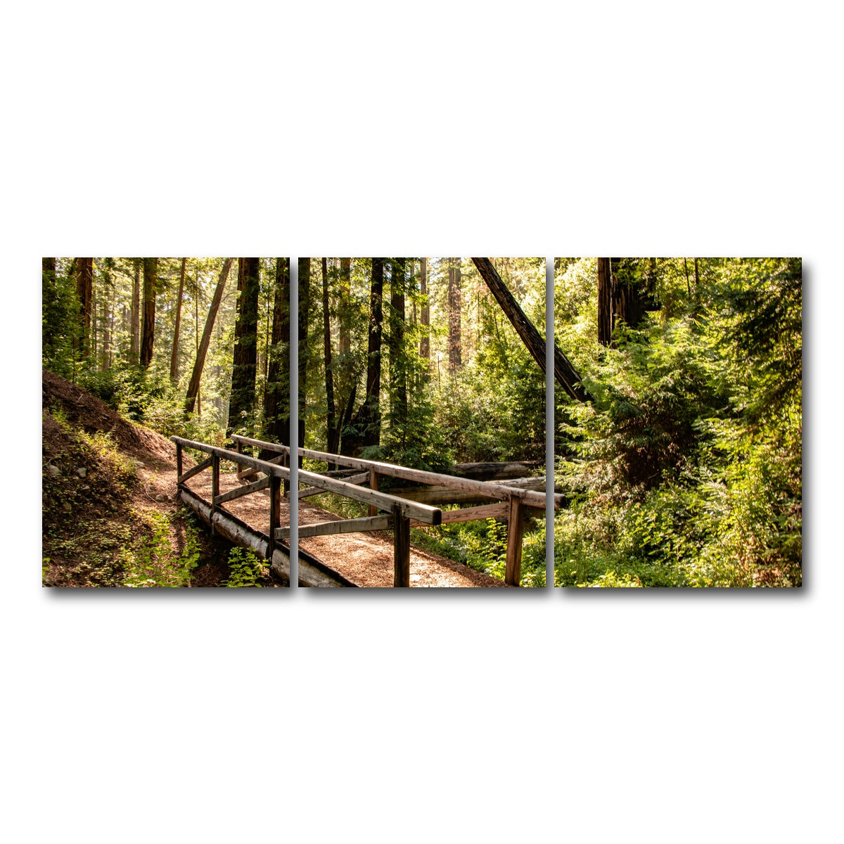 AUTO-MOCKUP WHITE | Ewoldsen Trail Bridge | 3 Piece | Gallery Wrap Canvas | group=18x24