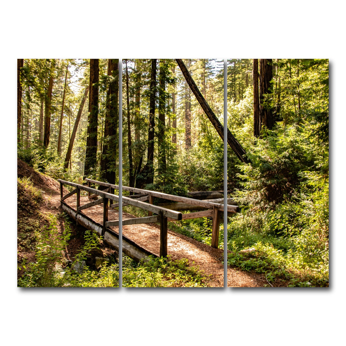 AUTO-MOCKUP WHITE | Ewoldsen Trail Bridge | 3 Piece | Gallery Wrap Canvas | group=8x18