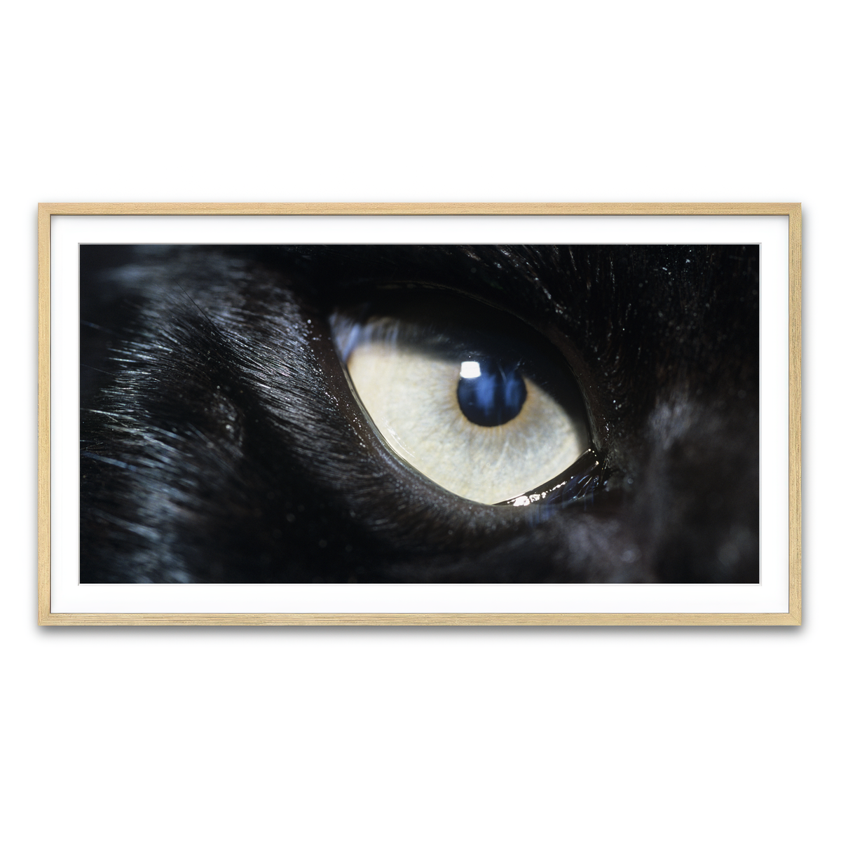 Framed Print 2x1 Natural