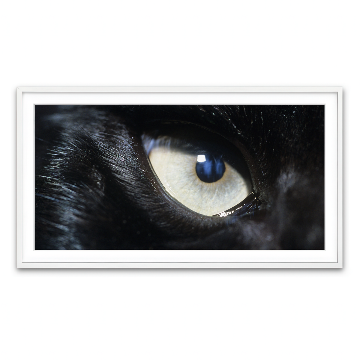 Framed Print 2x1 White