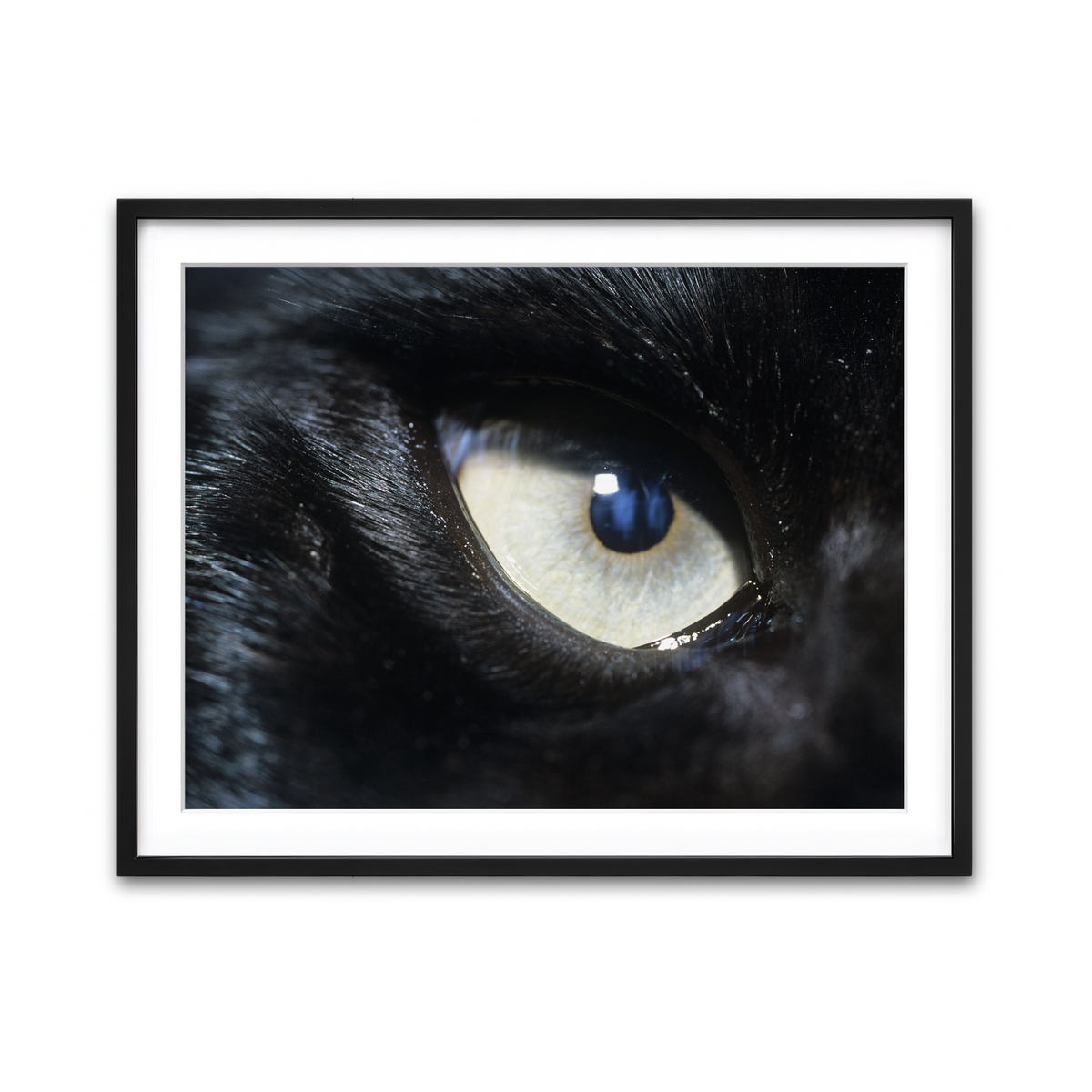 Framed Print 4x3 Black