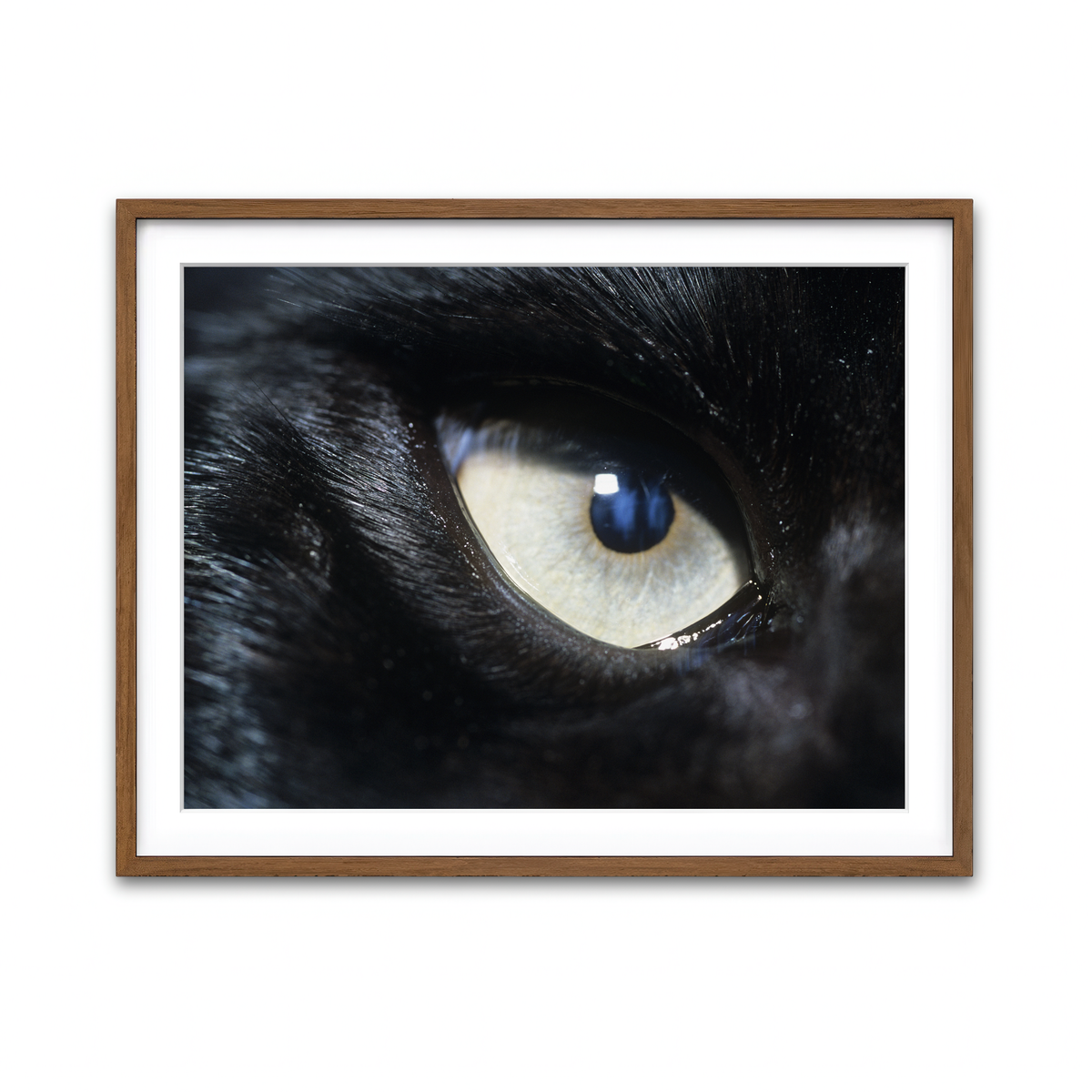 Framed Print 4x3 Walnut