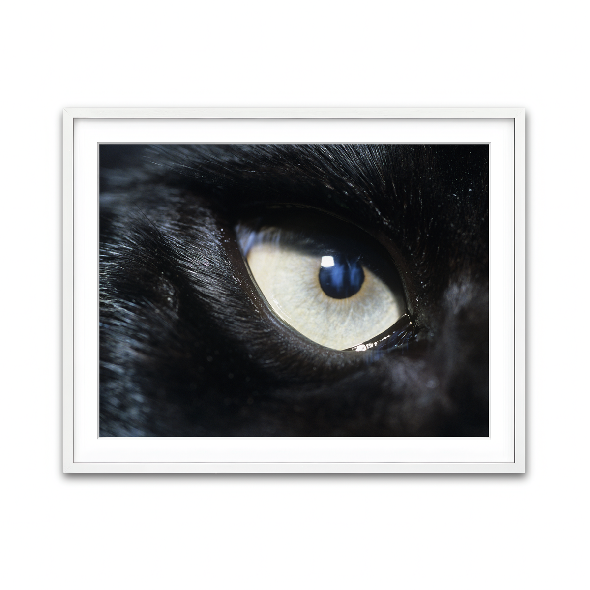 Framed Print 4x3 White