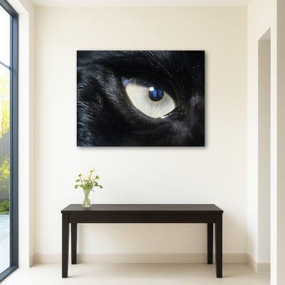 AUTO-MOCKUP ROOM | Eye of Black Wolf