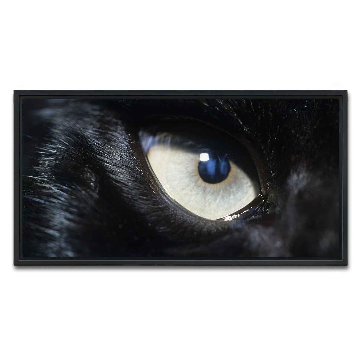 AUTO-MOCKUP WHITE | Eye of Black Wolf | 1 Piece | Black Framed Canvas | group=2x1