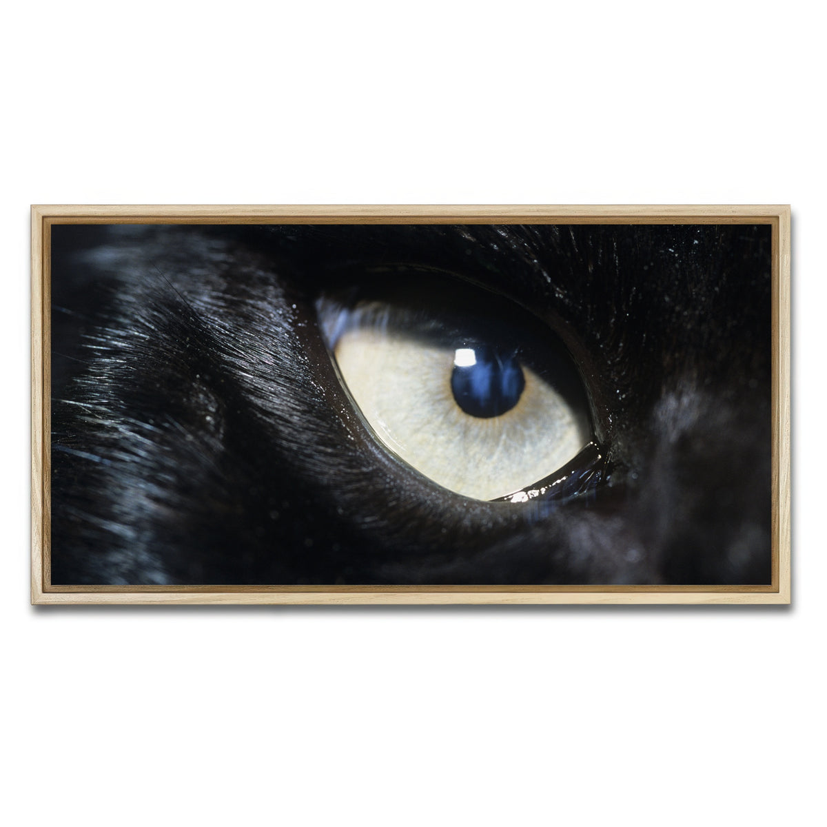 AUTO-MOCKUP WHITE | Eye of Black Wolf | 1 Piece | Natural Framed Canvas | group=2x1