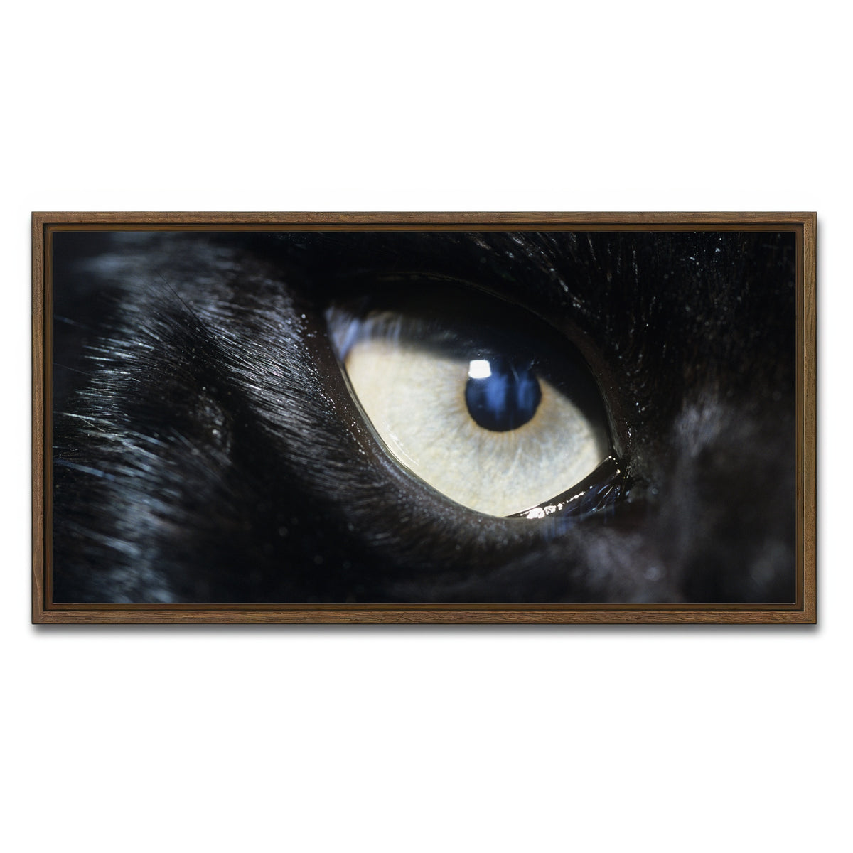 AUTO-MOCKUP WHITE | Eye of Black Wolf | 1 Piece | Walnut Framed Canvas | group=2x1
