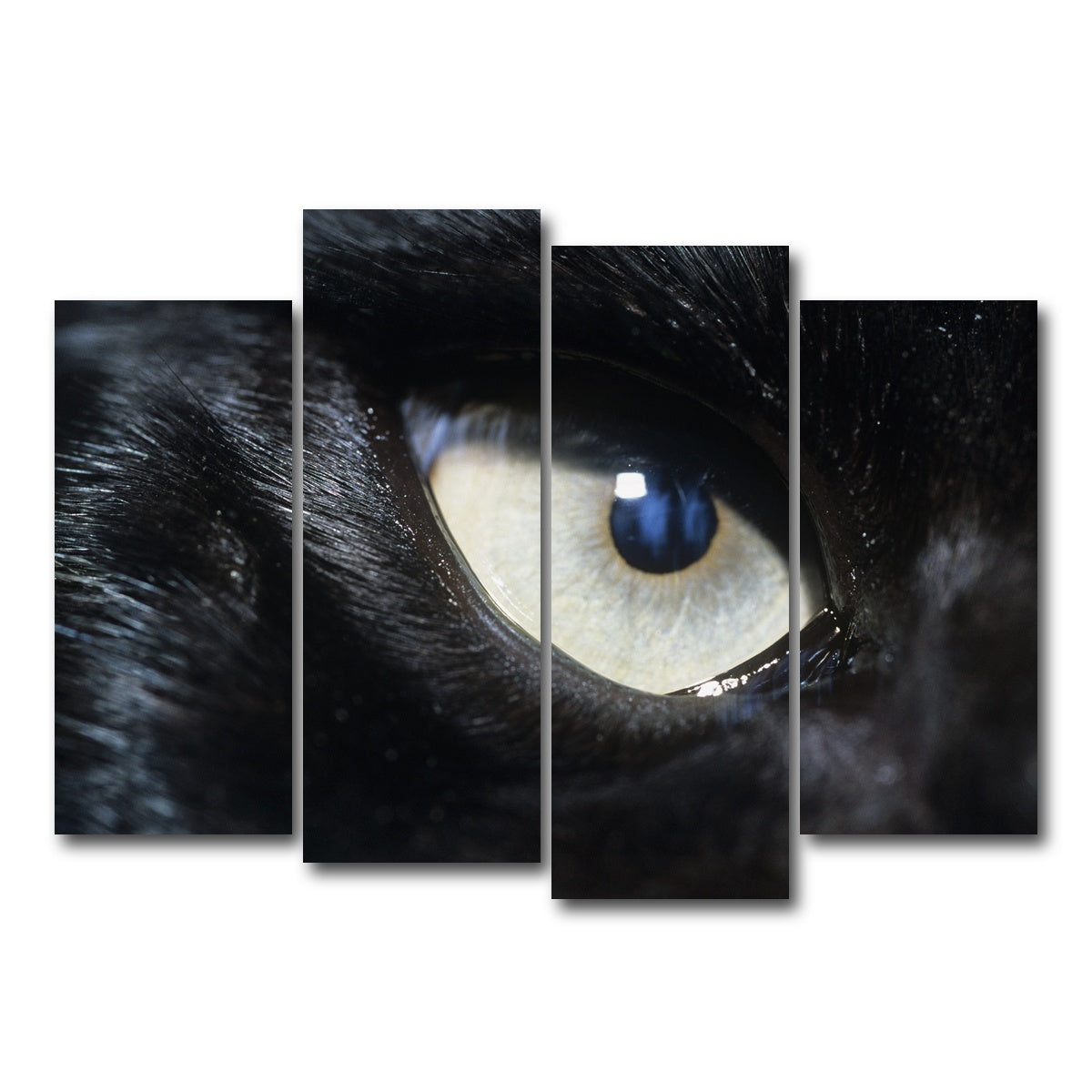 AUTO-MOCKUP WHITE | Eye of Black Wolf | 4 Piece | Gallery Wrap Canvas | group=4_normal