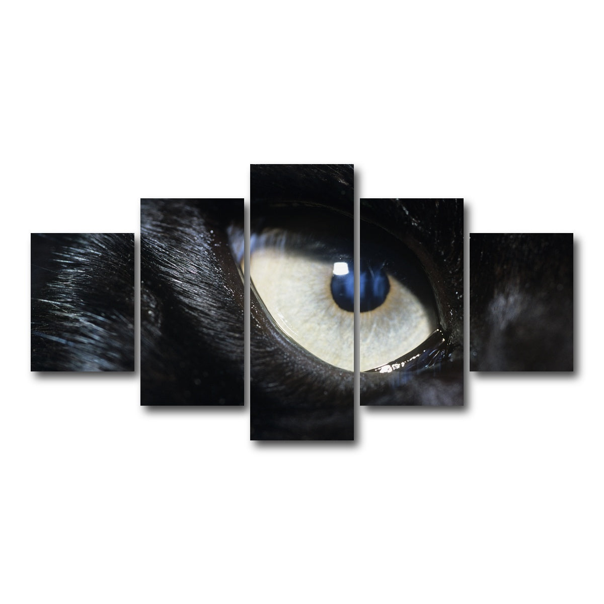 AUTO-MOCKUP WHITE | Eye of Black Wolf | 5 Piece | Gallery Wrap Canvas | group=5_short