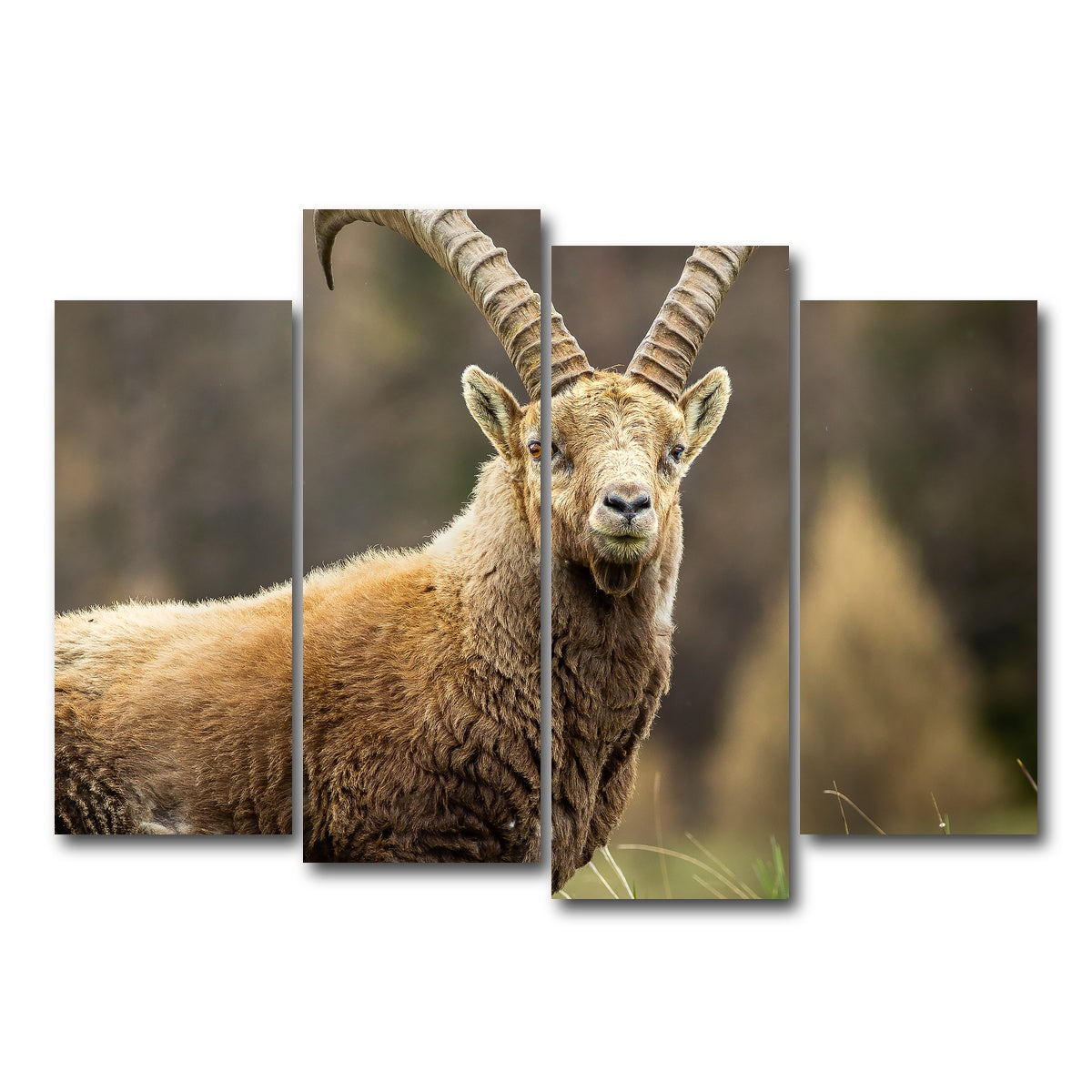 AUTO-MOCKUP WHITE | Face a Face | 4 Piece | Gallery Wrap Canvas | group=4_normal