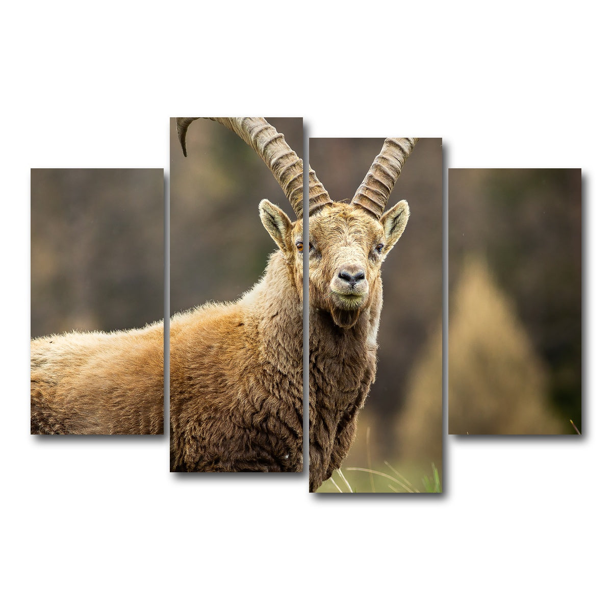 AUTO-MOCKUP WHITE | Face a Face | 4 Piece | Gallery Wrap Canvas | group=4_short