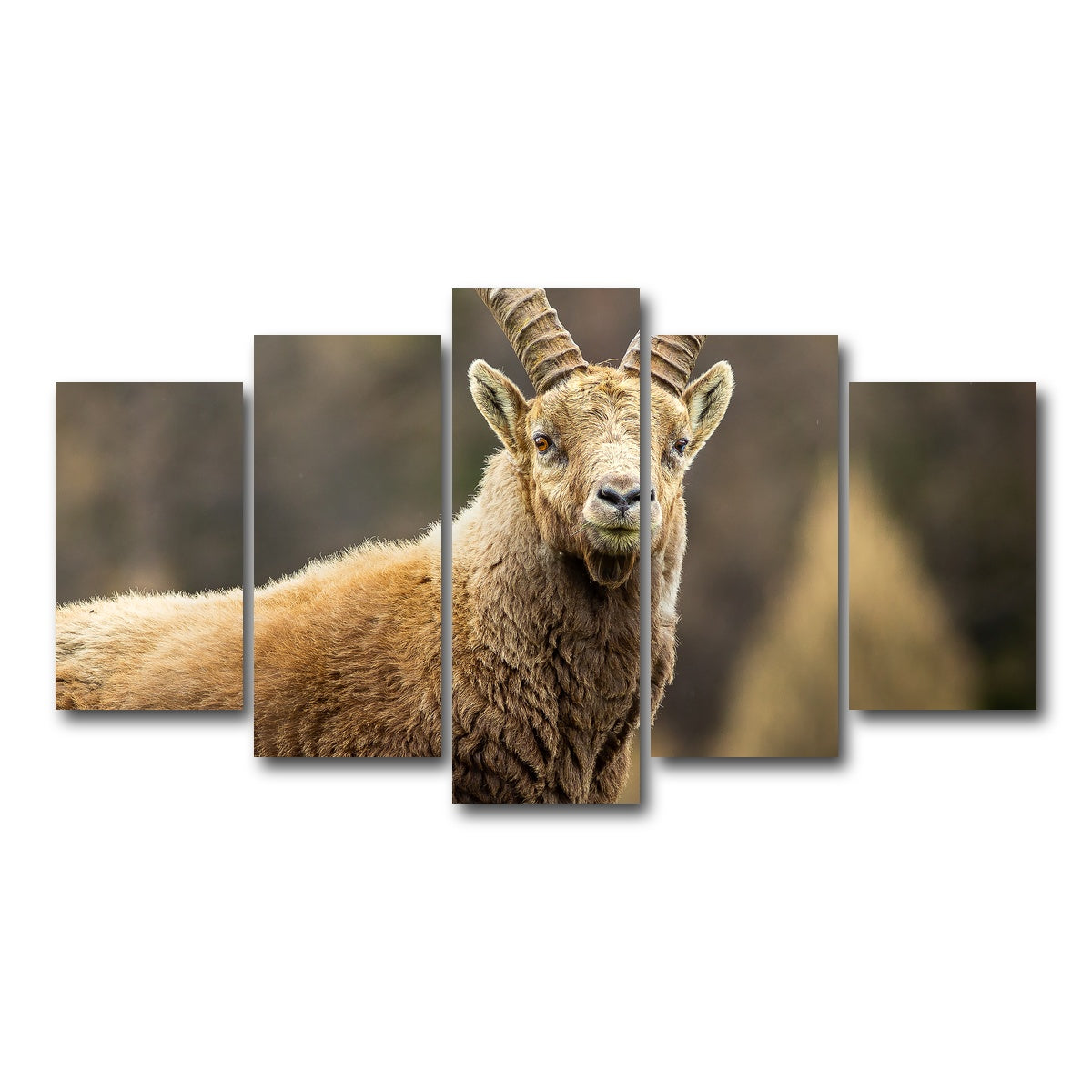 AUTO-MOCKUP WHITE | Face a Face | 5 Piece | Gallery Wrap Canvas | group=5_normal