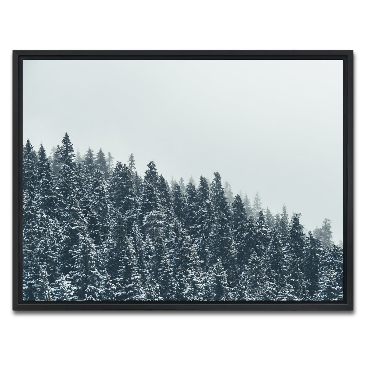 AUTO-MOCKUP WHITE | Fading Pines | 1 Piece | Black Framed Canvas | group=4x3