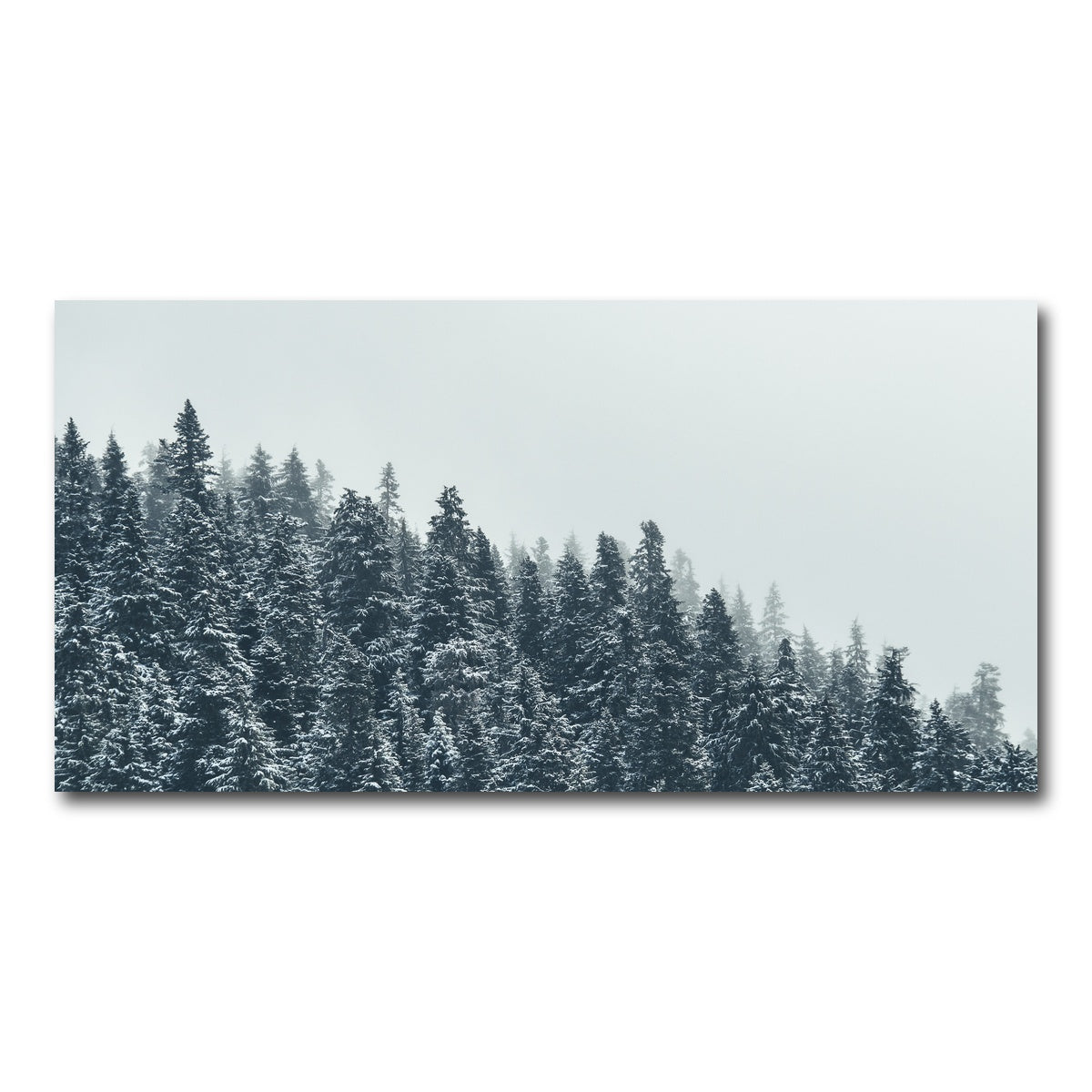 AUTO-MOCKUP WHITE | Fading Pines | 1 Piece | Gallery Wrap Canvas | group=2x1