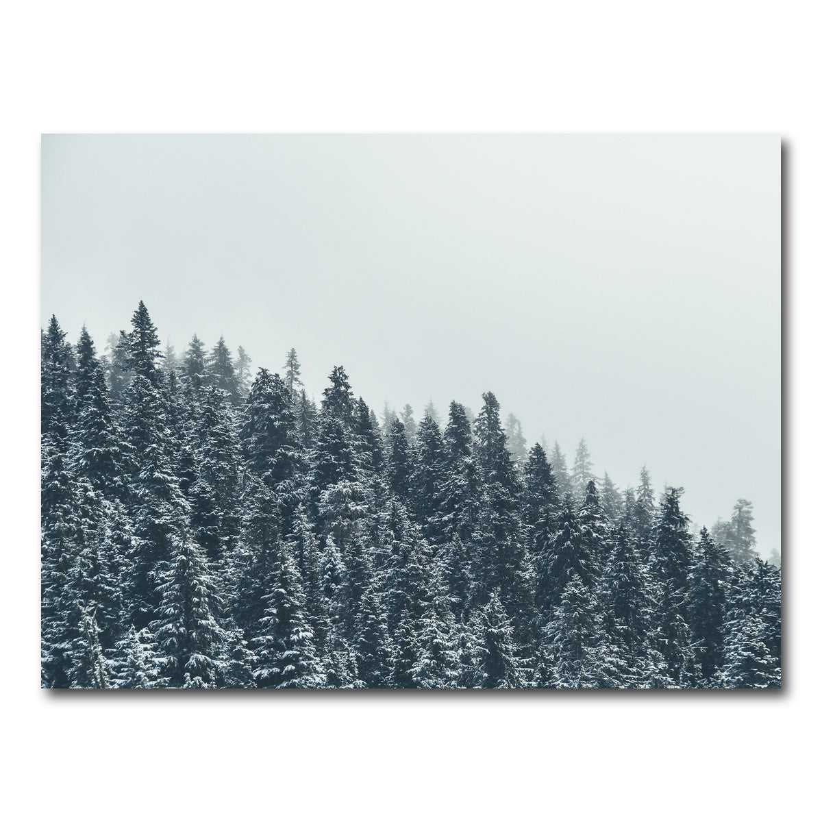 AUTO-MOCKUP WHITE | Fading Pines | 1 Piece | Gallery Wrap Canvas | group=4x3