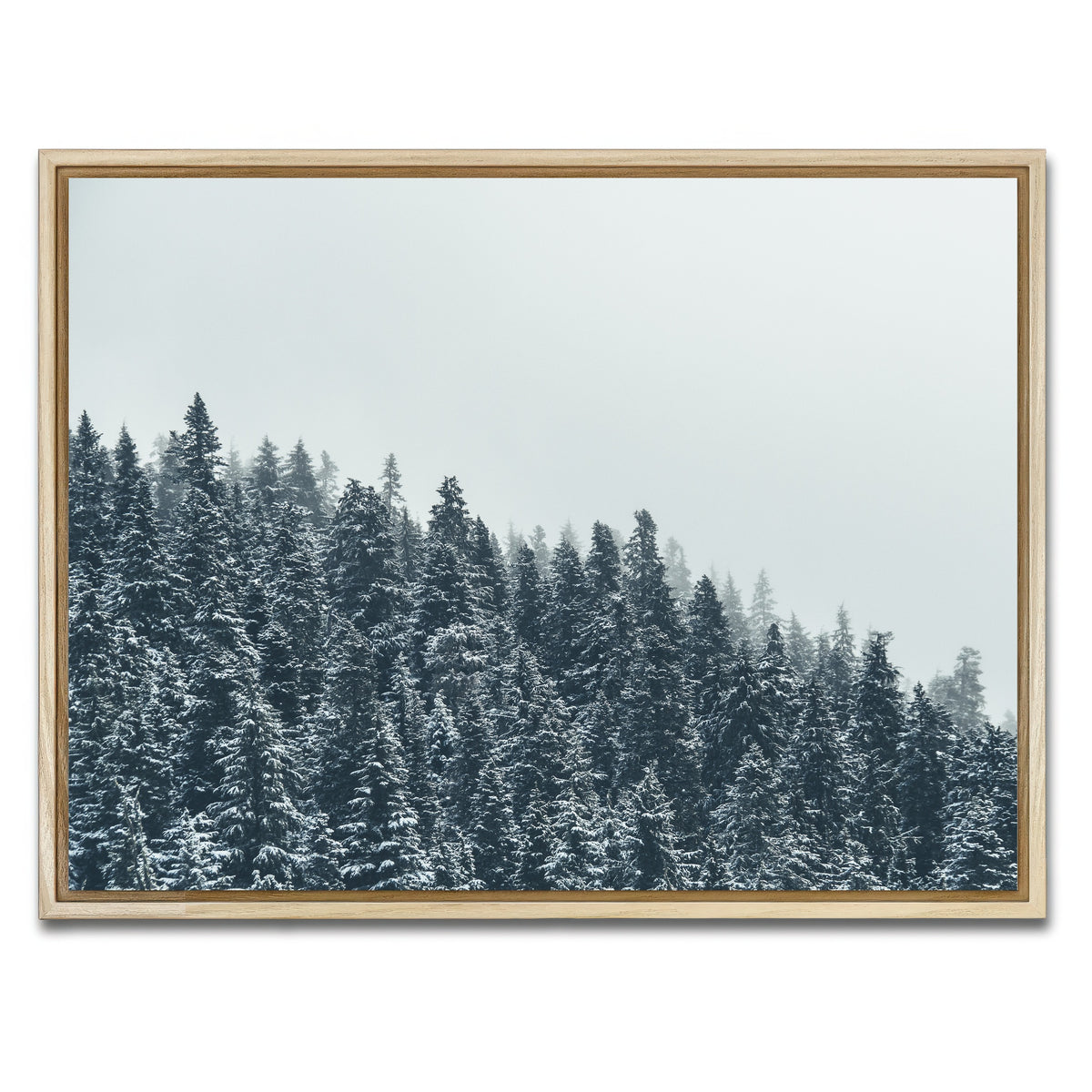 AUTO-MOCKUP WHITE | Fading Pines | 1 Piece | Natural Framed Canvas | group=4x3