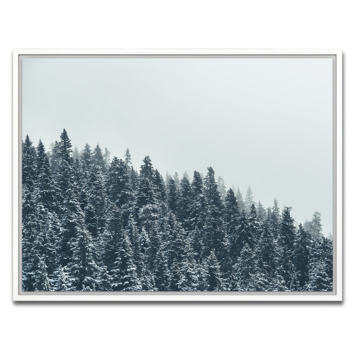 AUTO-MOCKUP WHITE | Fading Pines | 1 Piece | White Framed Canvas | group=4x3