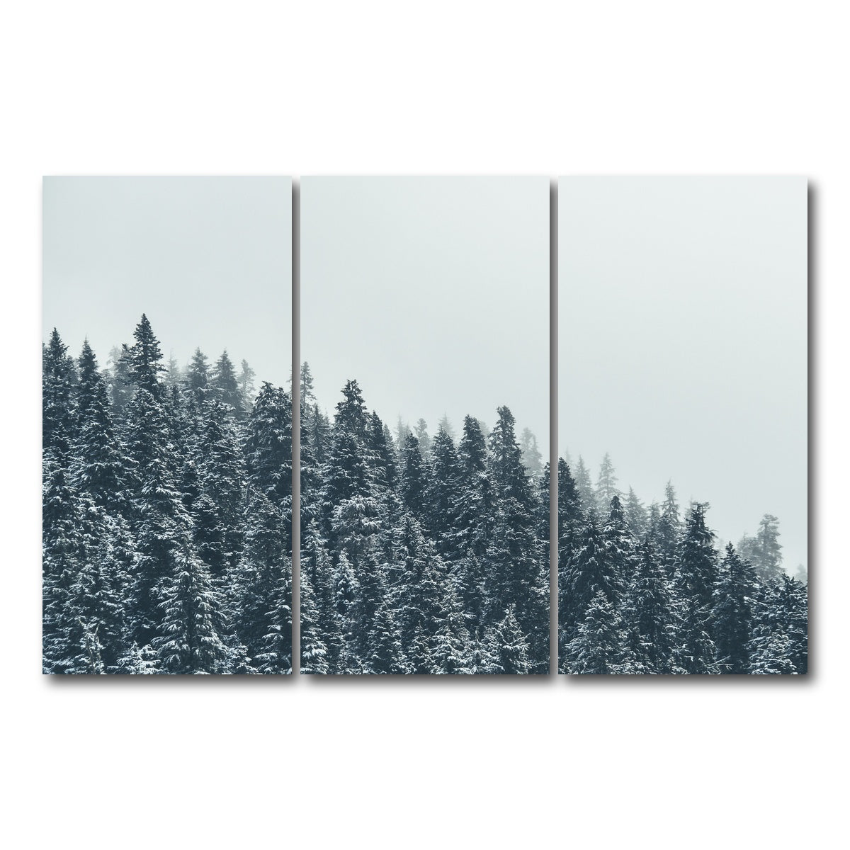 AUTO-MOCKUP WHITE | Fading Pines | 3 Piece | Gallery Wrap Canvas | group=12x24