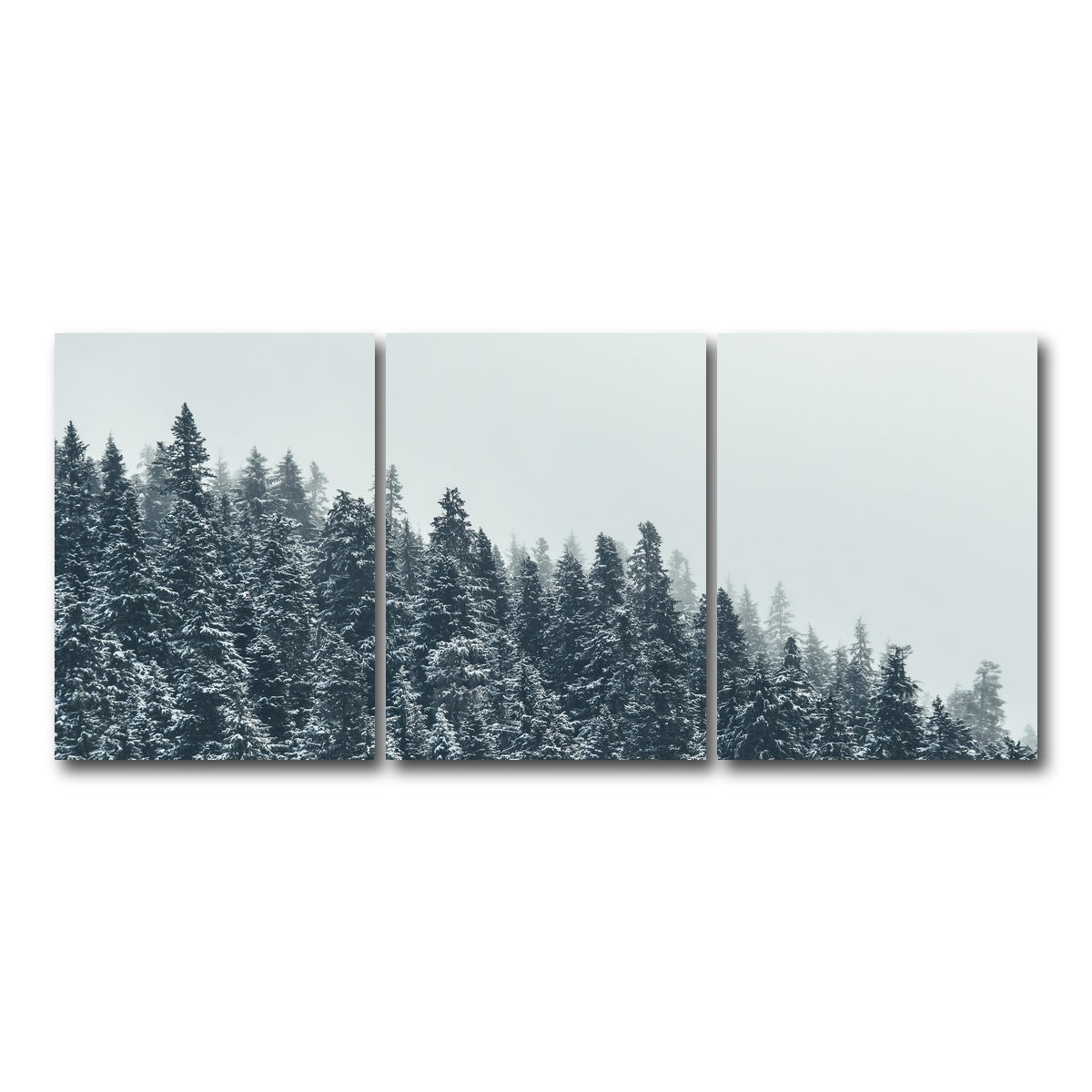 AUTO-MOCKUP WHITE | Fading Pines | 3 Piece | Gallery Wrap Canvas | group=18x24