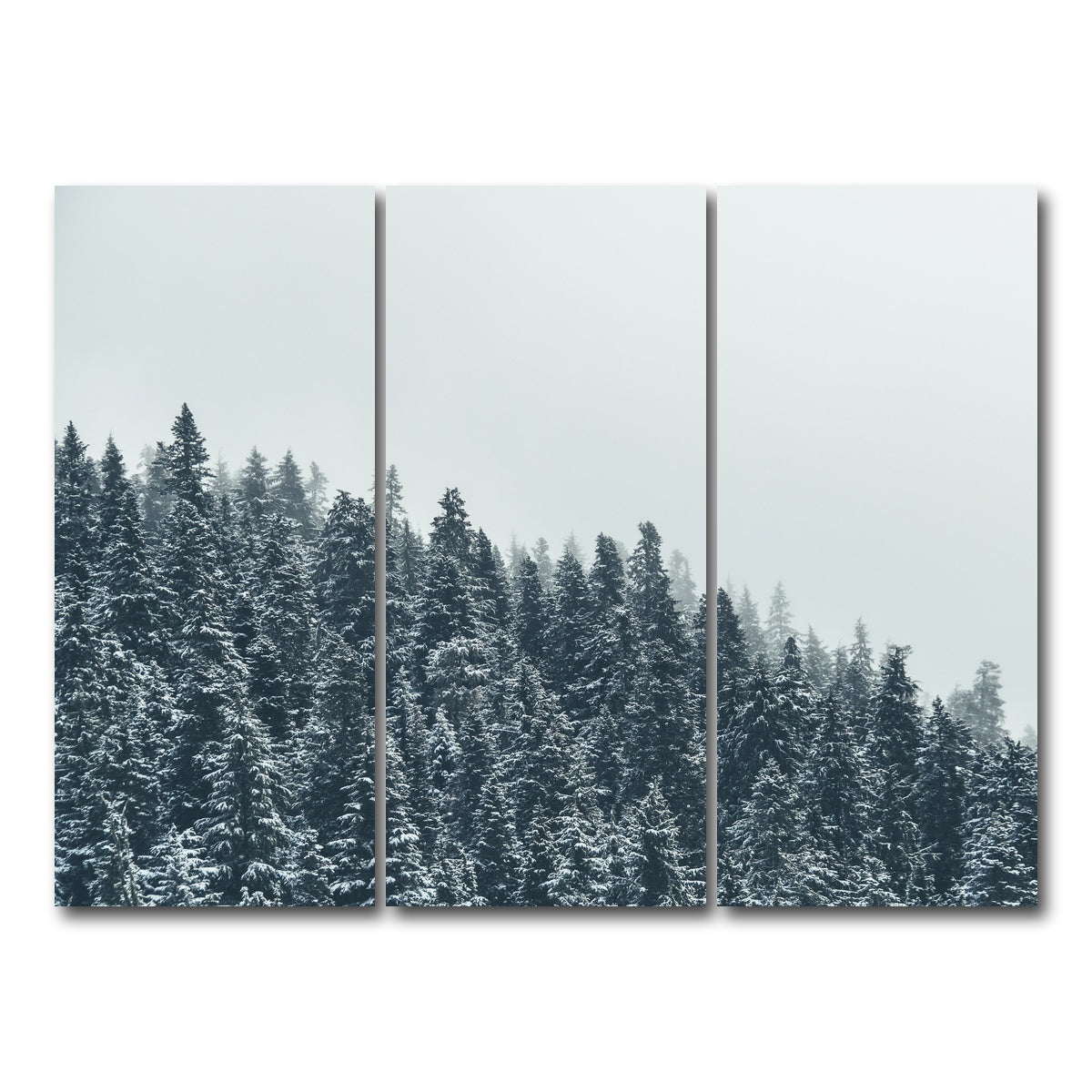AUTO-MOCKUP WHITE | Fading Pines | 3 Piece | Gallery Wrap Canvas | group=8x18