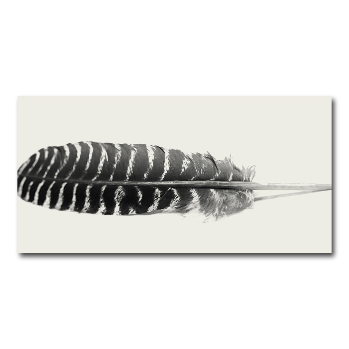 AUTO-MOCKUP WHITE | Falcon Feather | 1 Piece | Gallery Wrap Canvas | group=2x1