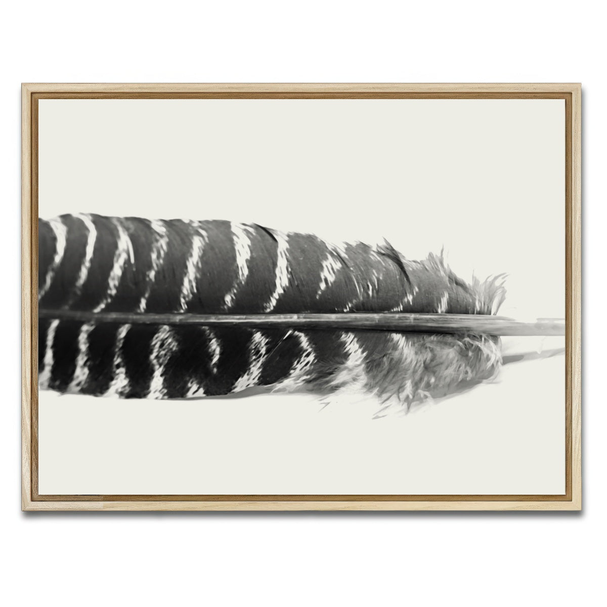 AUTO-MOCKUP WHITE | Falcon Feather | 1 Piece | Natural Framed Canvas | group=4x3