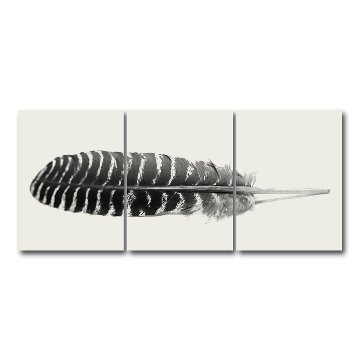 AUTO-MOCKUP WHITE | Falcon Feather | 3 Piece | Gallery Wrap Canvas | group=18x24
