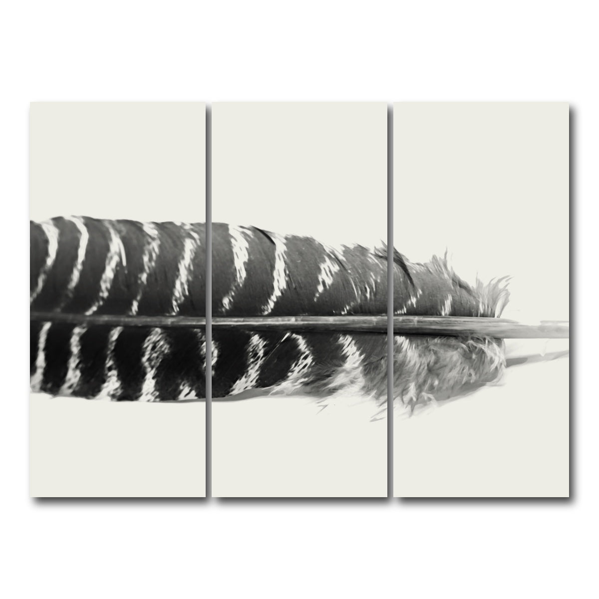 AUTO-MOCKUP WHITE | Falcon Feather | 3 Piece | Gallery Wrap Canvas | group=8x18