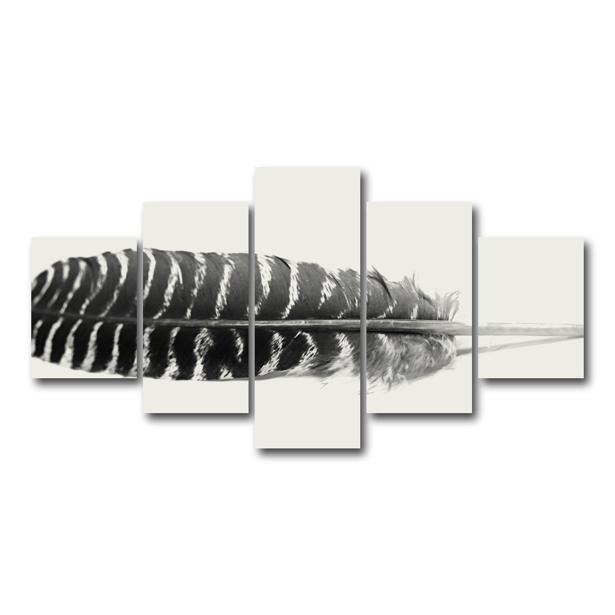 AUTO-MOCKUP WHITE | Falcon Feather | 5 Piece | Gallery Wrap Canvas | group=5_short