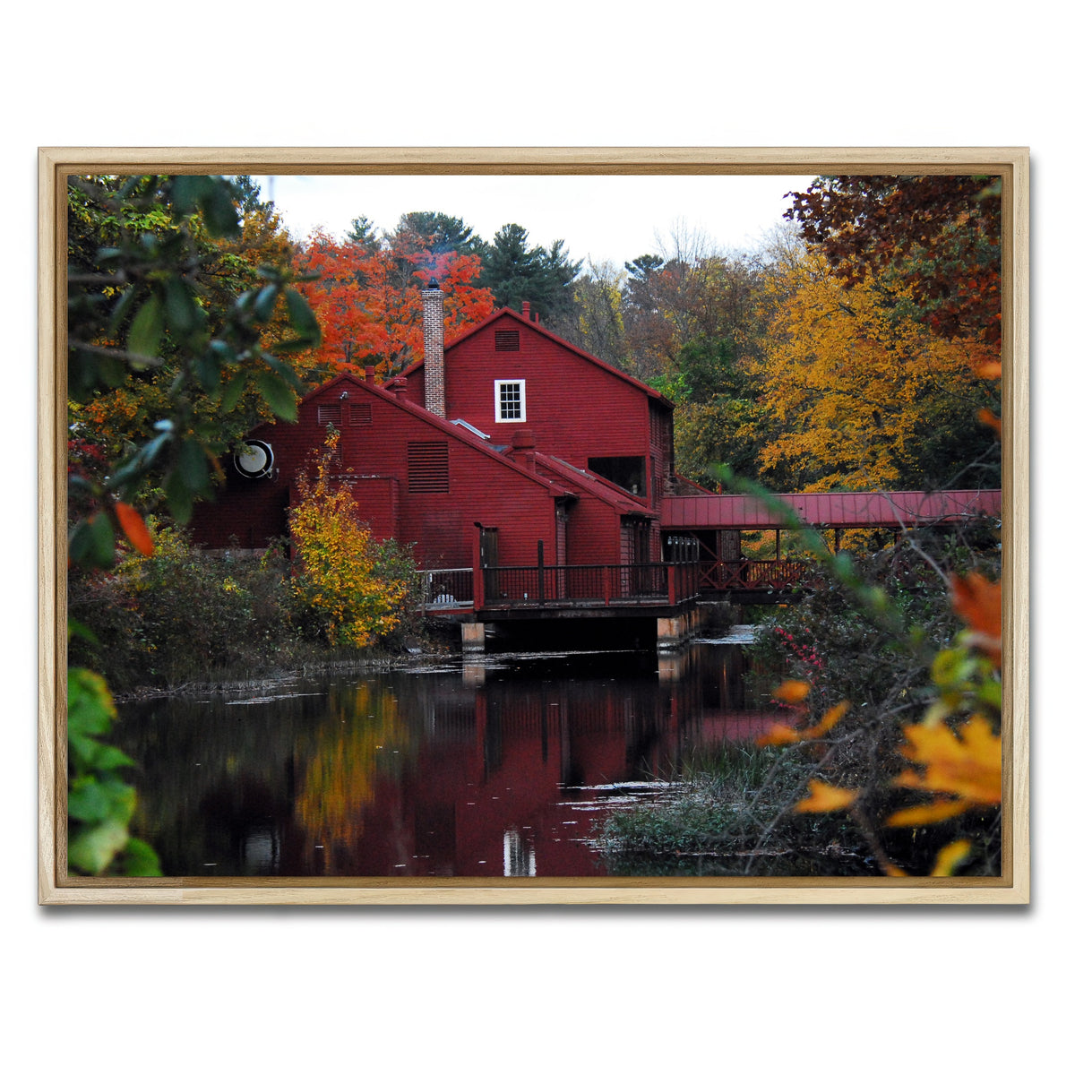 AUTO-MOCKUP WHITE | Fall Colors in Historic Connecticut | 1 Piece | Natural Framed Canvas | group=4x3