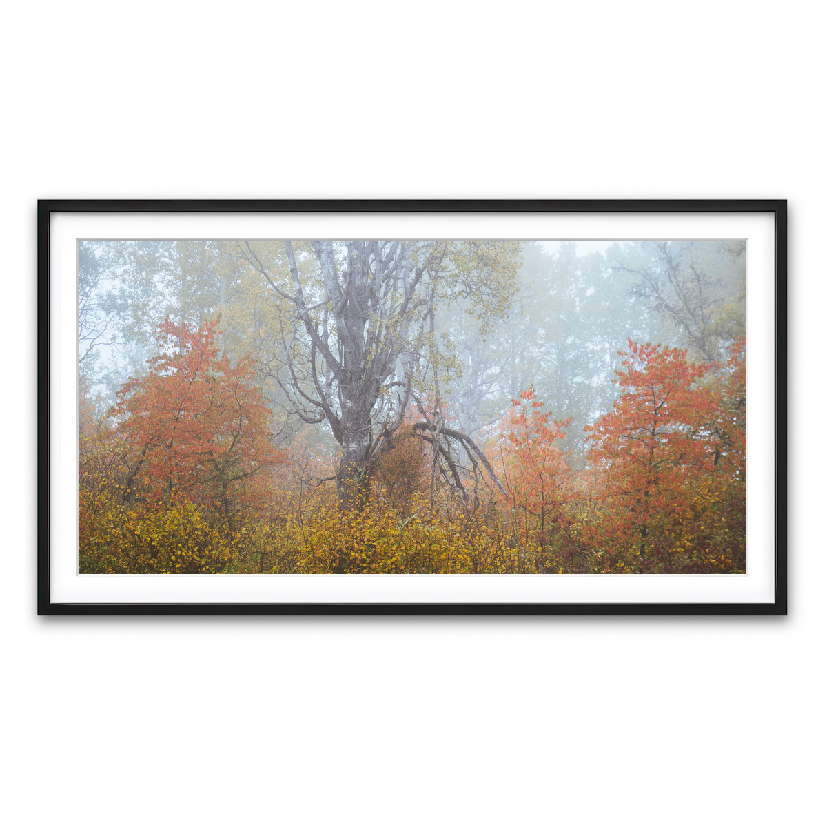 Framed Print 2x1 Black