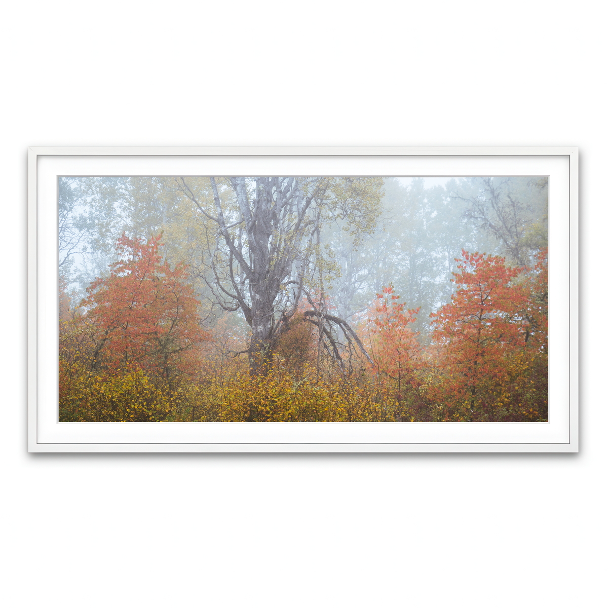 Framed Print 2x1 White