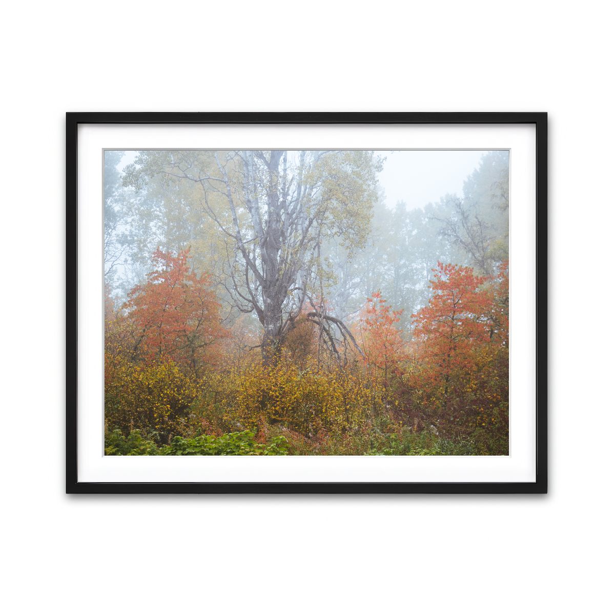 Framed Print 4x3 Black