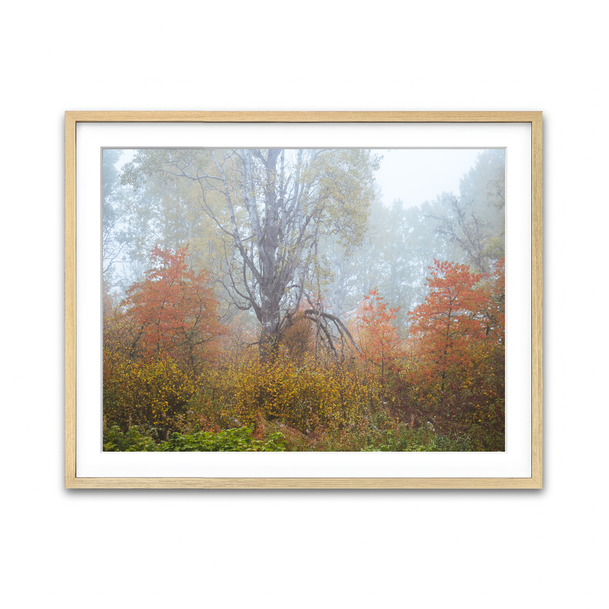 Framed Print 4x3 Natural