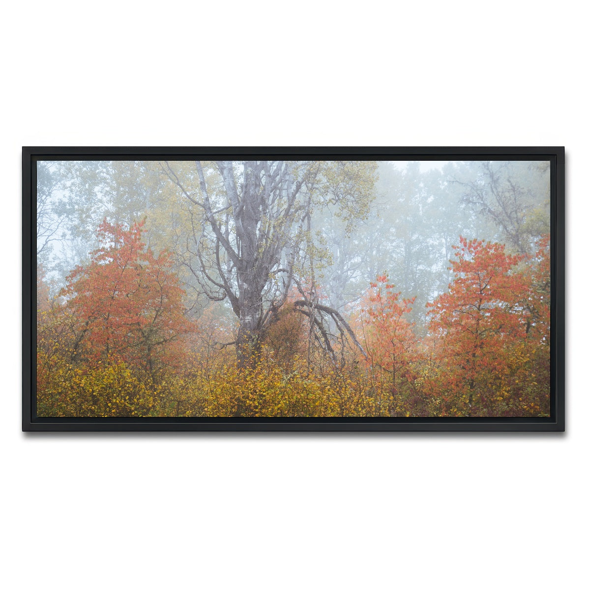 AUTO-MOCKUP WHITE | Fall Colors in Northern BC 1 | 1 Piece | Black Framed Canvas | group=2x1