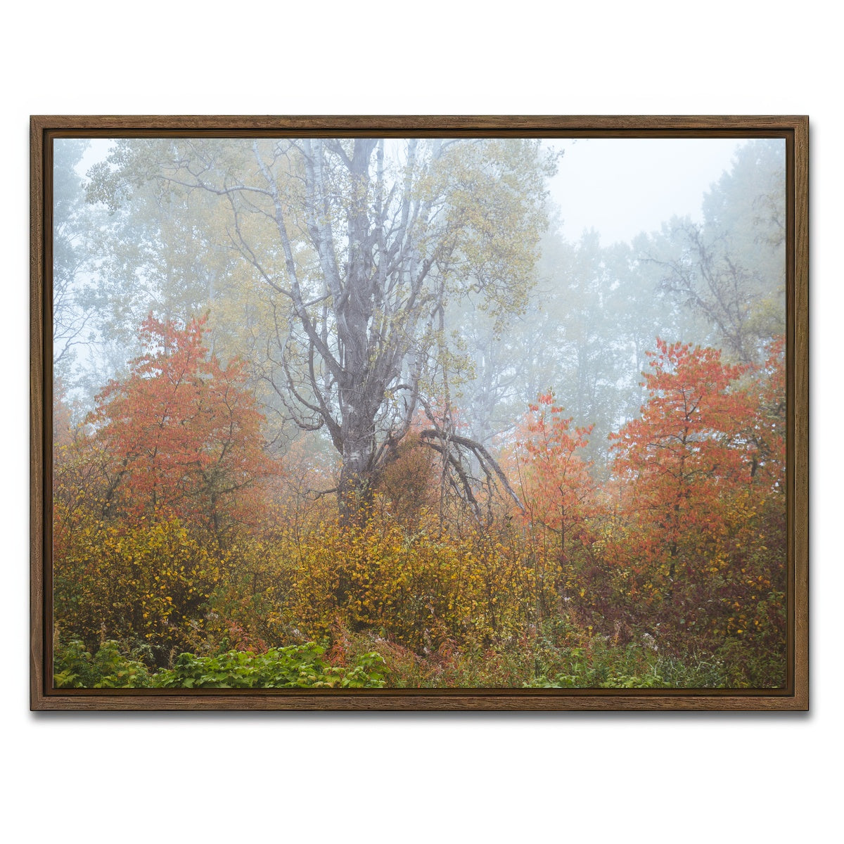 AUTO-MOCKUP WHITE | Fall Colors in Northern BC 1 | 1 Piece | Walnut Framed Canvas | group=4x3