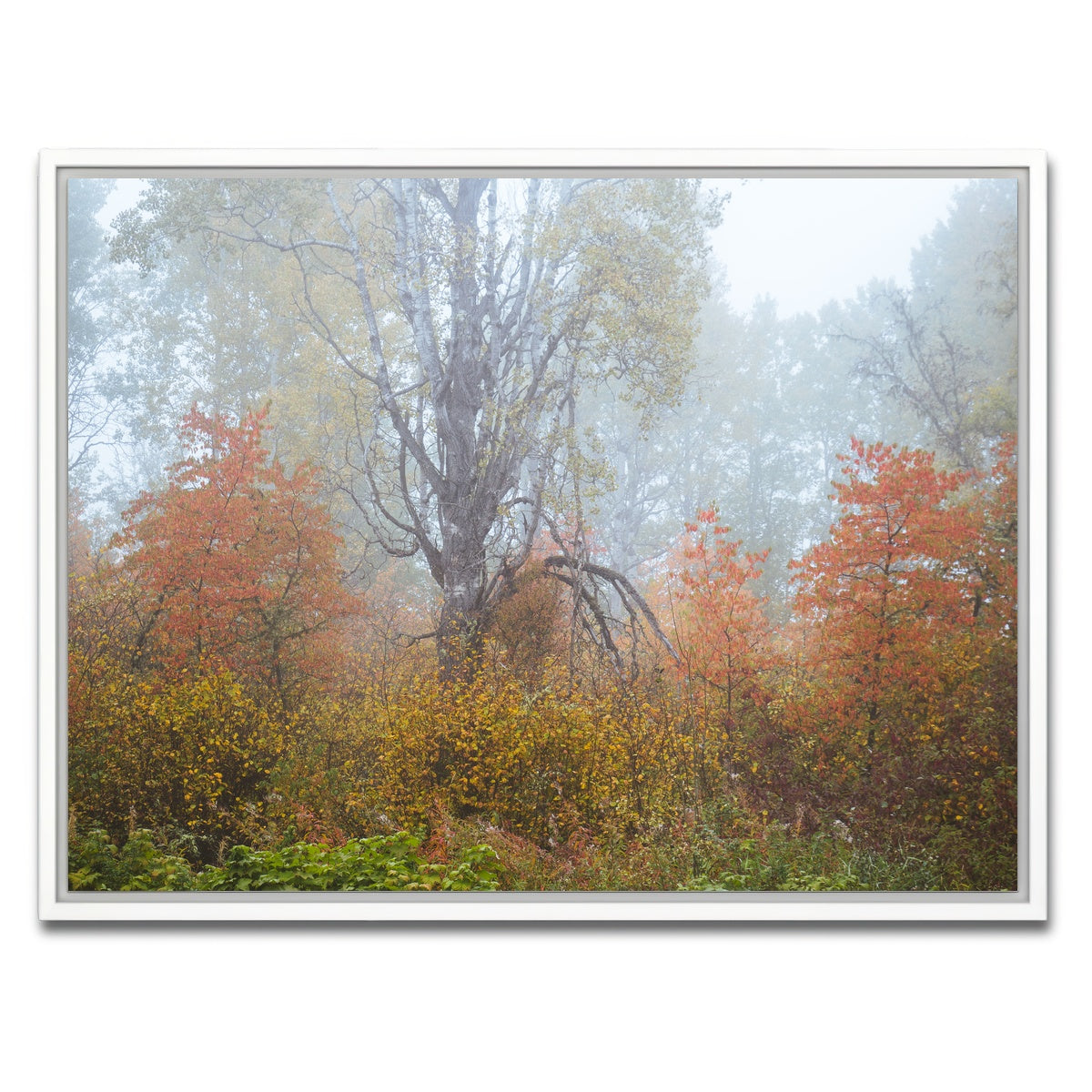 AUTO-MOCKUP WHITE | Fall Colors in Northern BC 1 | 1 Piece | White Framed Canvas | group=4x3