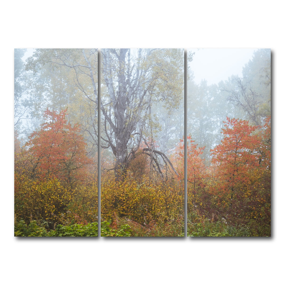 AUTO-MOCKUP WHITE | Fall Colors in Northern BC 1 | 3 Piece | Gallery Wrap Canvas | group=8x18