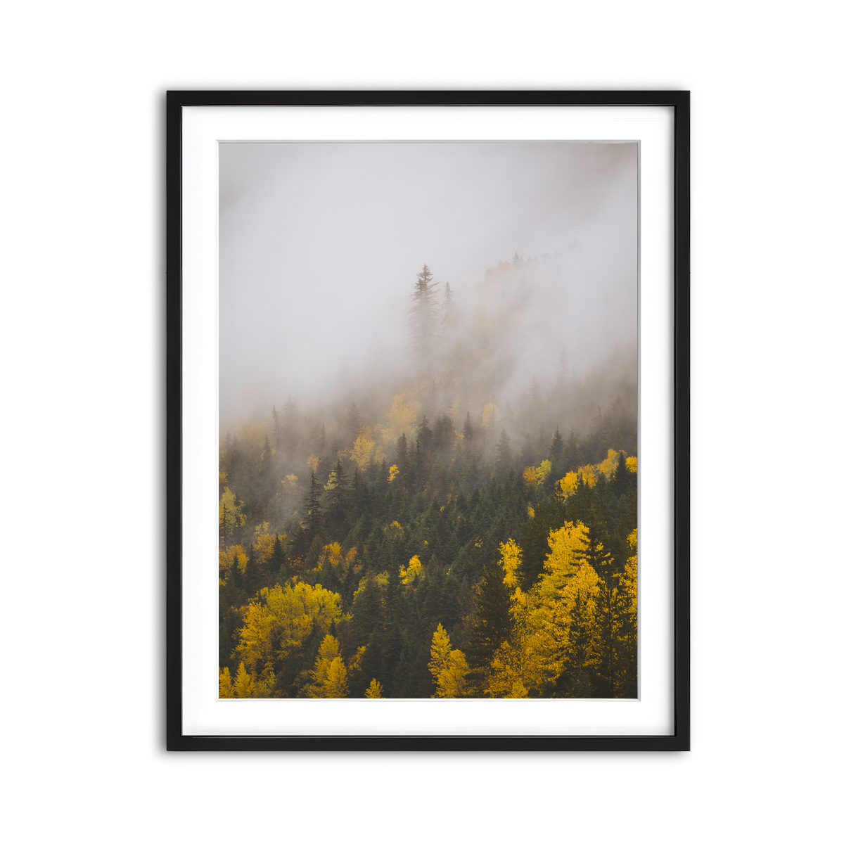Framed Print 3x4 Black