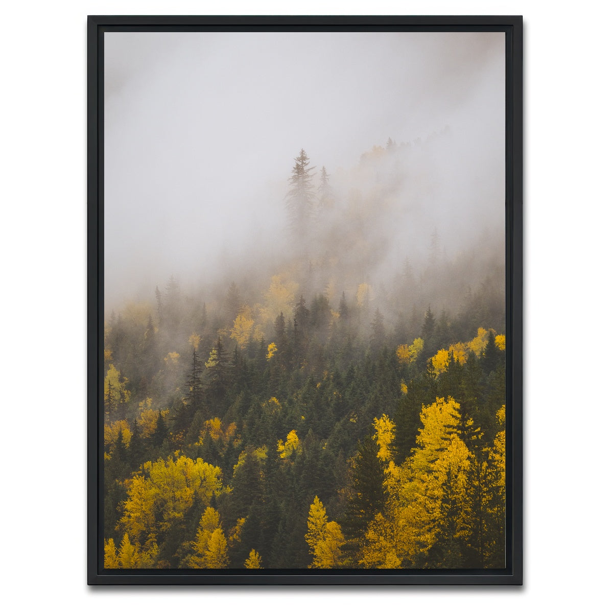 AUTO-MOCKUP WHITE | Fall Colors in Northern BC 4 | 1 Piece | Black Framed Canvas | group=3x4