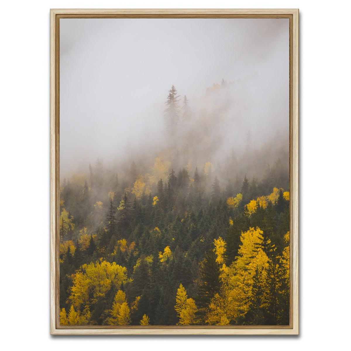 AUTO-MOCKUP WHITE | Fall Colors in Northern BC 4 | 1 Piece | Natural Framed Canvas | group=3x4