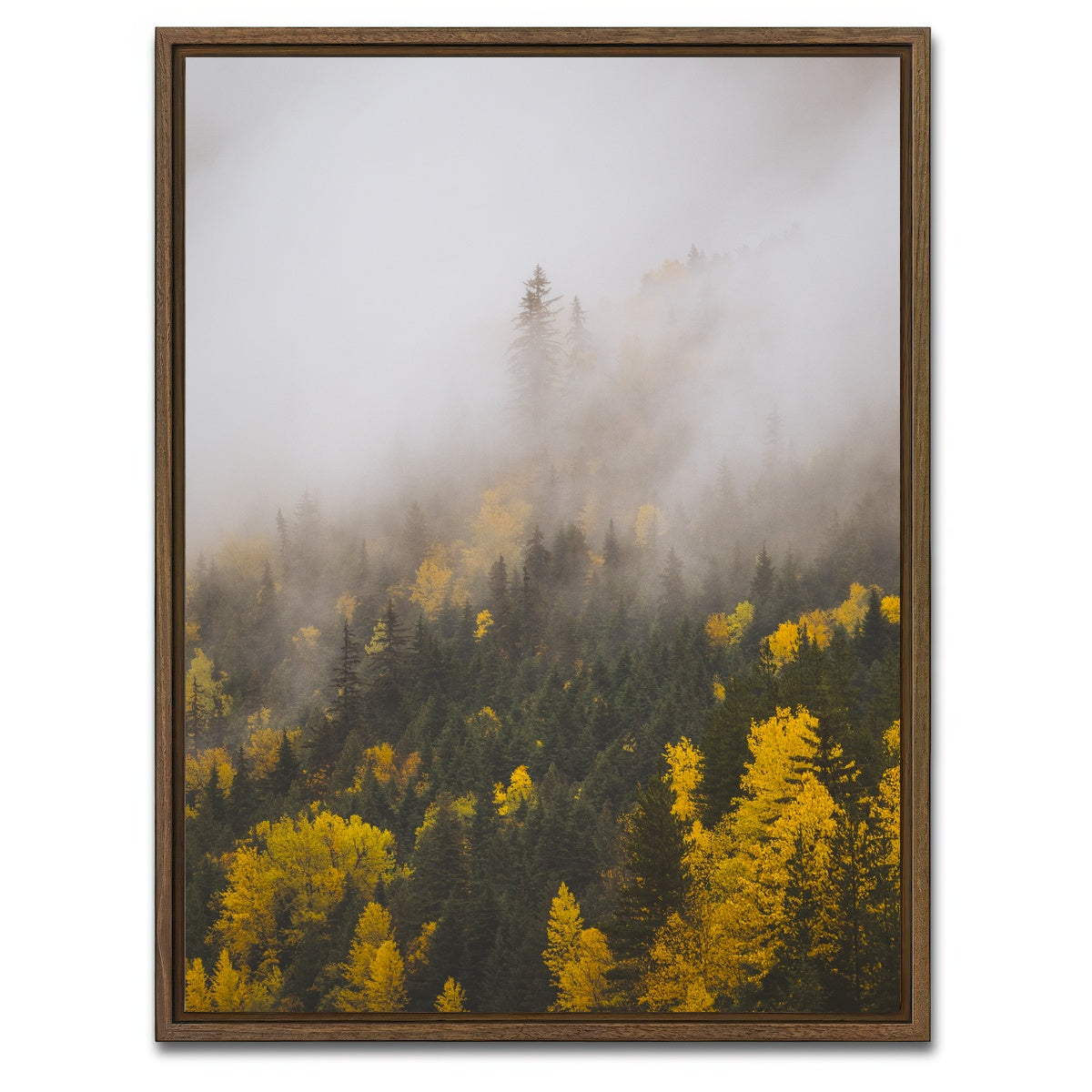 AUTO-MOCKUP WHITE | Fall Colors in Northern BC 4 | 1 Piece | Walnut Framed Canvas | group=3x4
